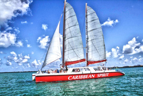 Prime Yacht Rentals Miami - 78′ Cat