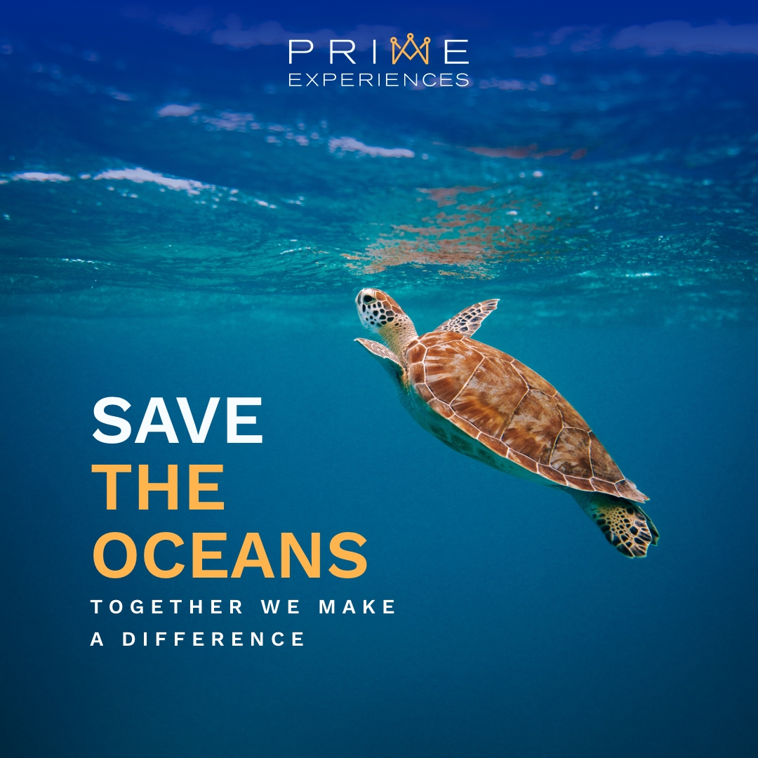 Prime Luxury Rentals - Our mission with 4 Ocean