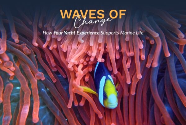 Prime Luxury Rentals - How Your Yacht Experience Supports Marine Life
